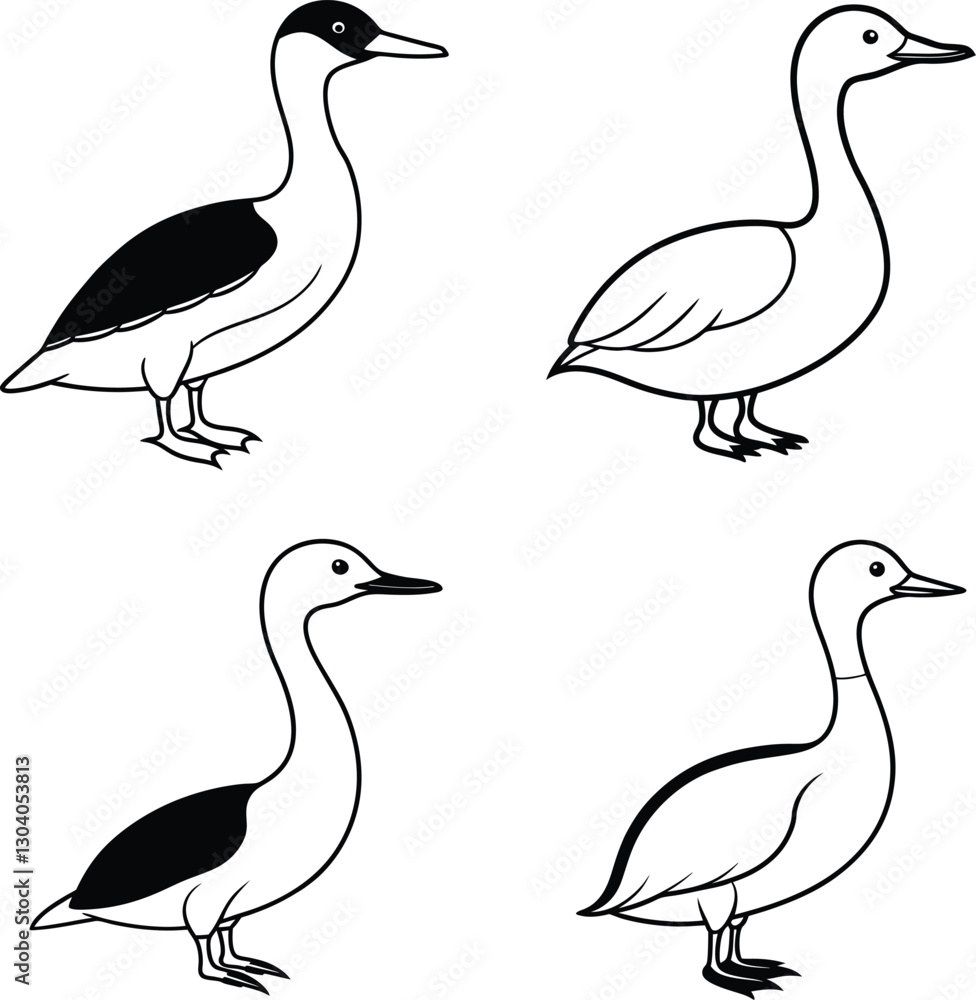 Obraz premium Bird Outline Illustration Set Line Art Collection of Various Birds