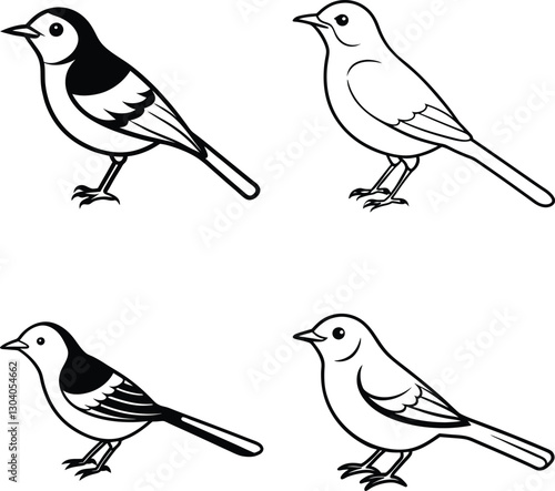 Wallpaper Mural Bird Outline Illustration Set Line Art Collection of Various Birds Torontodigital.ca