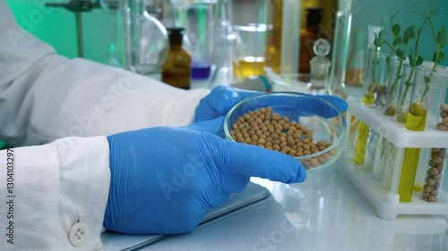 A researcher analyzes agricultural grains in a laboratory. Research into GMO cereals and beans. Testing genetically modified seeds.