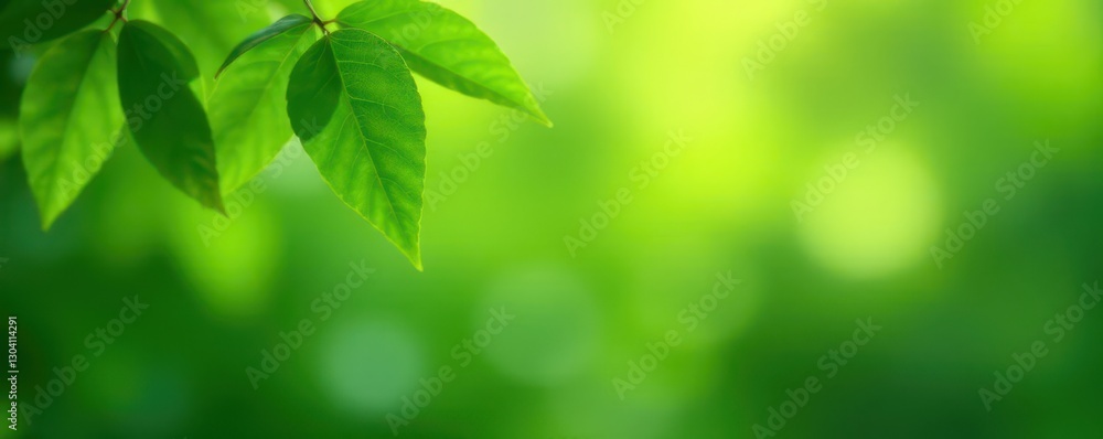 Blurred green leaves, peaceful backdrop for virtual calls, image, lush Blurred green leaves, peaceful backdrop for virtual calls, image, lush