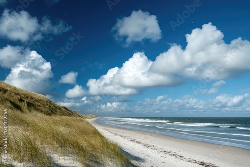 Coastal dune landscape, sunny beach, waves, cumulus clouds