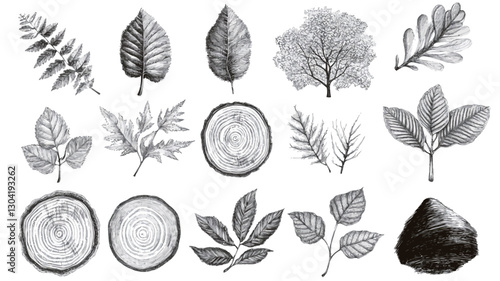 The image contains a collection of twenty individual botanical illustrations rendered in monochrome.  Each illustration depicts various plant elements, including leaves of different shapes