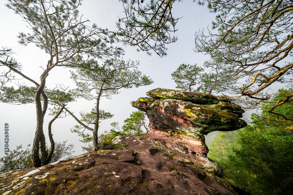 View of the Bänderfels near Erfweiler. Rock formation in the Palatinate with the surrounding landscape. Nature in the hiking area with red sandstone rocks.
View of the Bänderfels near Erfweiler. Rock formation in the Palatinate with the surrounding landscape. Nature in the hiking area with red sandstone rocks.