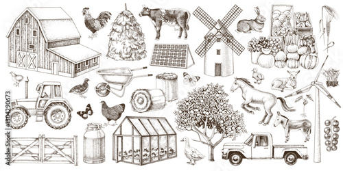 Farm life hand drawn vector set