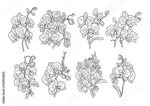 Set of orchid flowers and bouquets line art vector botanical illustrations. Trendy greenery hand drawn black ink sketches collection. Modern design for logo, tattoo, wall art, invitations, packaging.