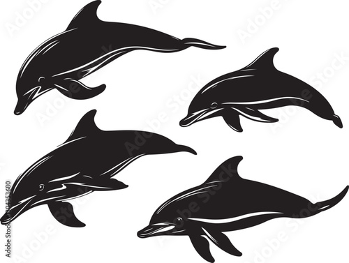 Graceful Aquatics: The Elegant Dance of Dolphins
