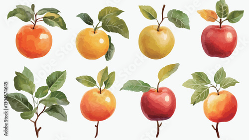 A digital illustration showcasing eight watercolor-style apples in varying shades of red, yellow, and orange. Each apple is depicted with a small branch and leaves. The apples are arranged