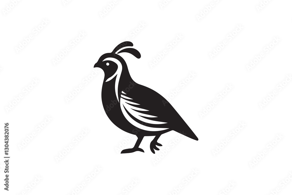 Fototapeta premium quail bird black color vector silhouette illustration isolated in white background