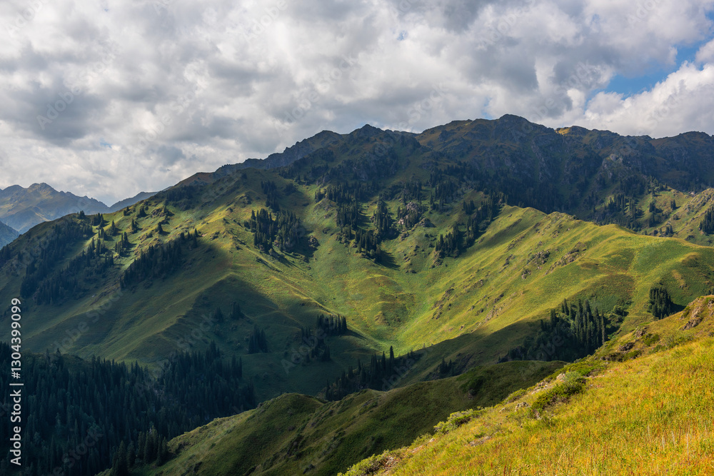 Naklejka premium Picturesque landscape in the Dzungarian Alatau mountains in southeastern Kazakhstan on a cloudy summer morning