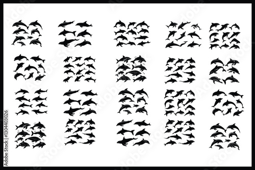 Graceful Aquatics: The Elegant Dance of Dolphins
