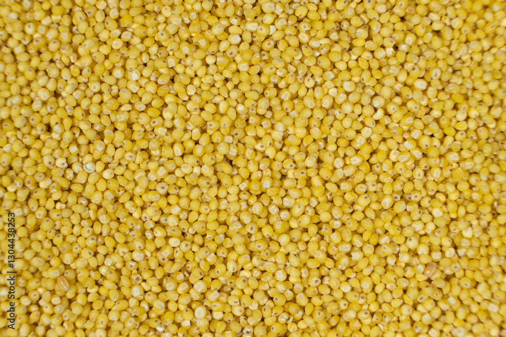 Whole millet grains top view macro Whole millet grains top view macro
