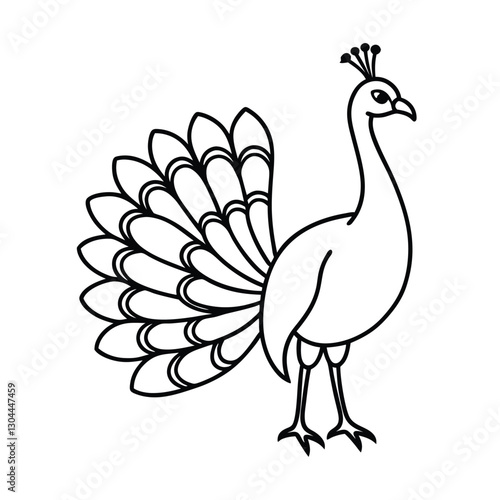 peacock vector illustration  coloring book