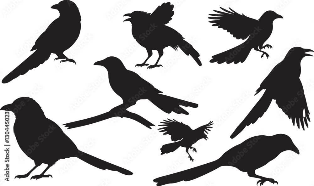 Obraz premium Bird Silhouette
