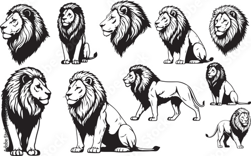 Lion Outline Collection