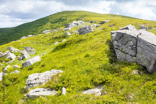 Obraz na płótnie landscape with rocks among the grass on the hillside. beautiful destination for wilderness tourism. sunny day. scenery of carpathian mountain range in summer. vacation season. meadow on the hill top w salonie