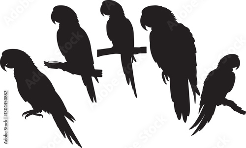 Macaw Side View Silhouette