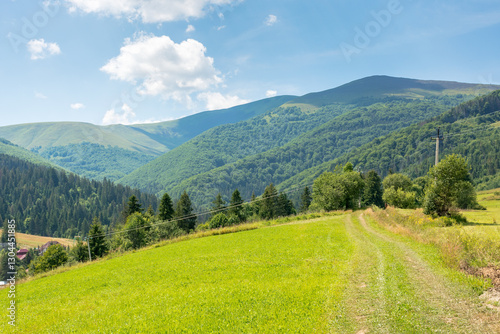 Obraz na płótnie grassy field on the hill. beautiful view of carpathian alps. mountainous countryside landscape on a sunny day in summer. podobovets valley in transcarpathia, ukraine. wonderful alpine highland w salonie