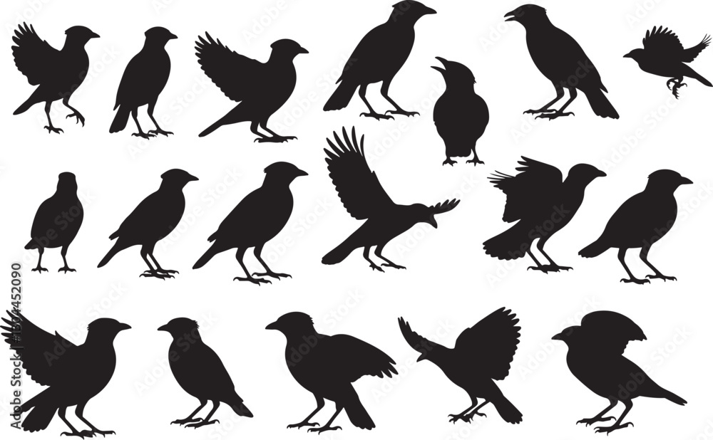 Obraz premium Myna Silhouettes