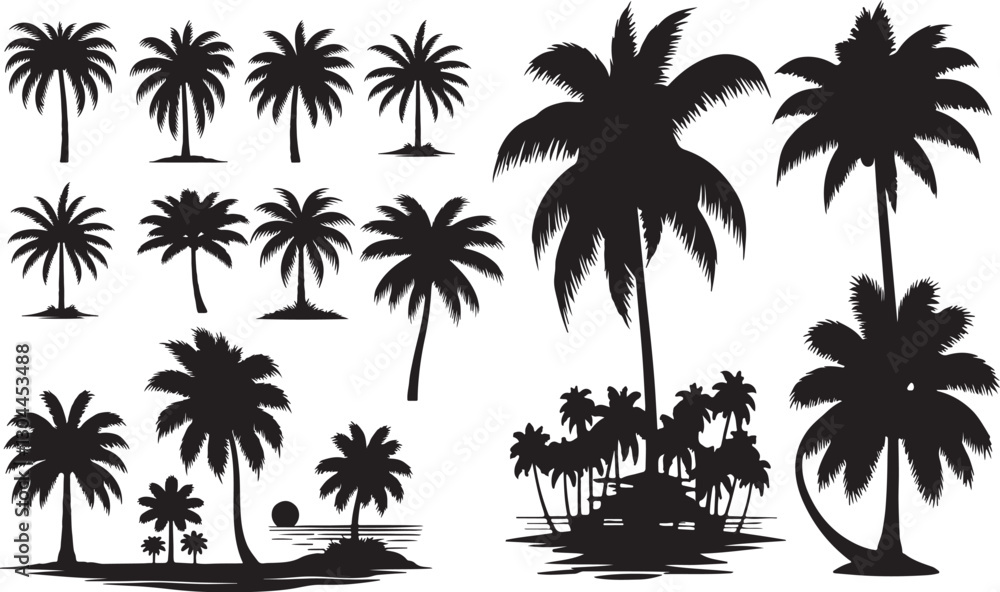 Obraz premium Palm Tree Silhouette on White Background