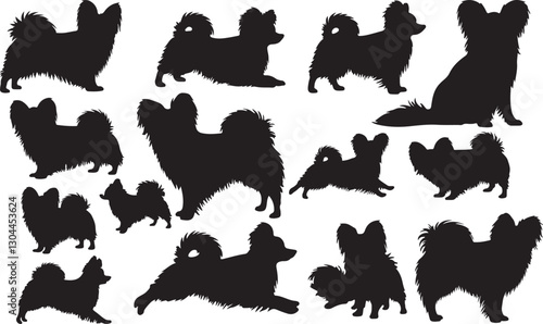 Papillon Silhouette on White Background