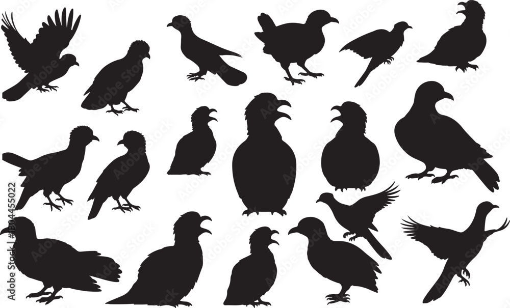 Fototapeta premium Potoo Silhouettes