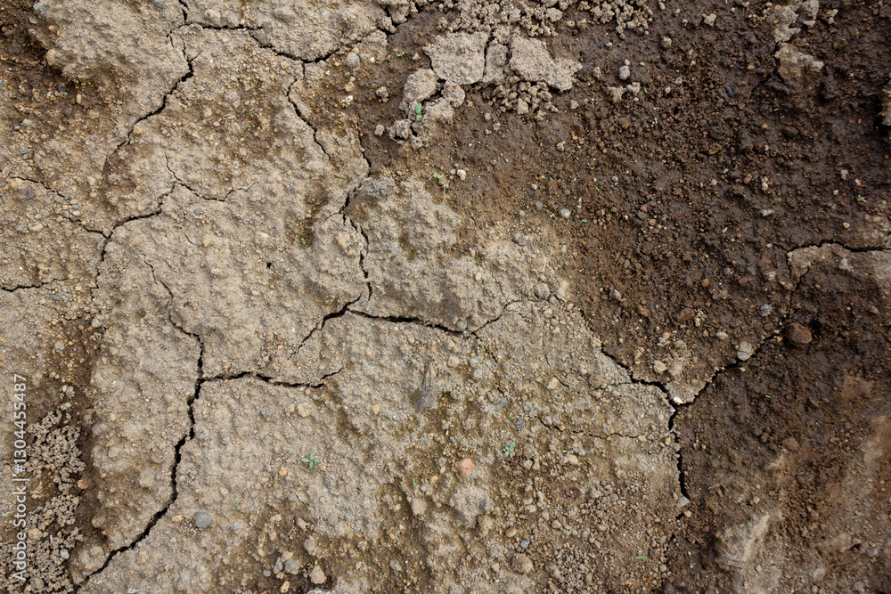 Cracked Earth Texture – High-Resolution Dry Soil Surface for Background & Design Cracked Earth Texture – High-Resolution Dry Soil Surface for Background & Design
