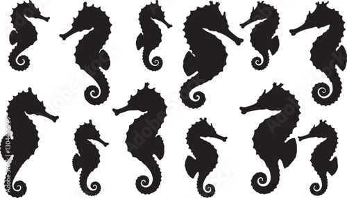 Seahorse Silhouettes