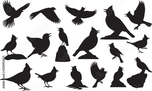 Skylark Silhouettes