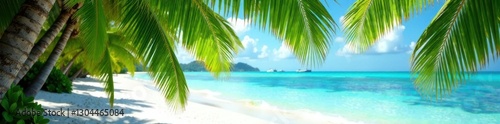 Lush palm fronds arch over white sand beach, turquoise water , travel, beautiful, idyllic