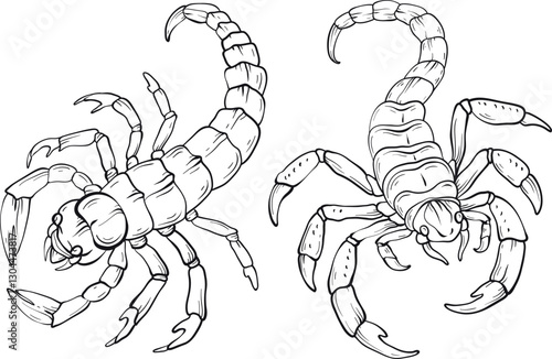 Line art scorpion isolated on white, various types of scorpion.