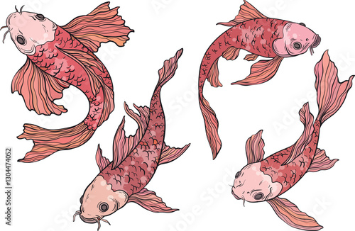 Golden Koi carp on white background, Chinese new year. Gold fish for festival on backdrops, line art of koi fish