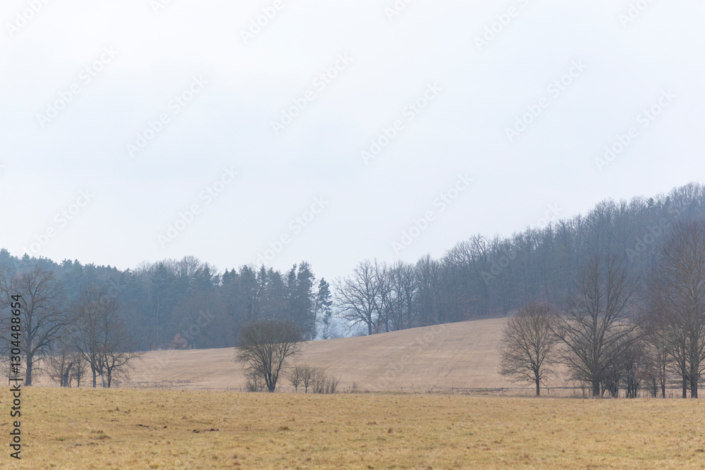 Rural area on a foggy day in early spring
