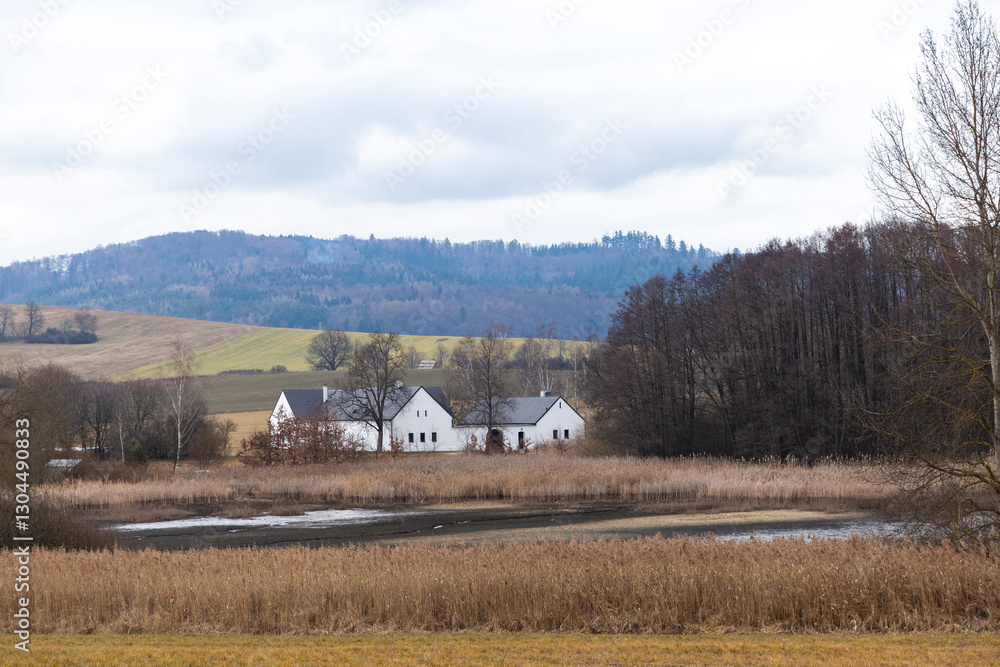 Rural house on a foggy day in early spring