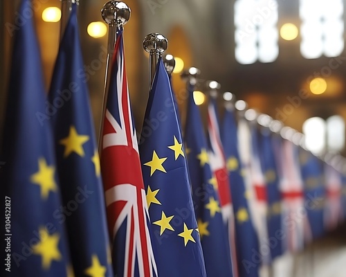 Flags line up in hall EU, UK, International