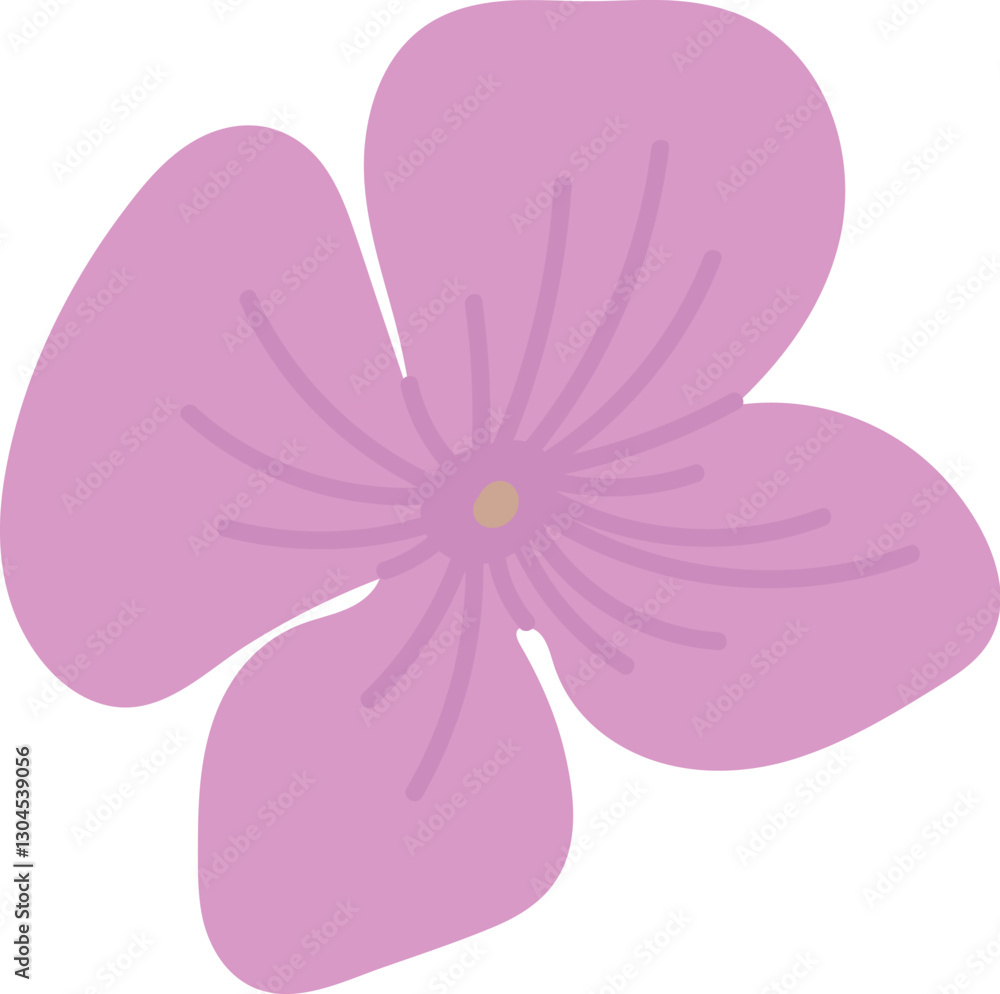 Hydrangea Flower Hand Drawn Hydrangea Flower Hand Drawn