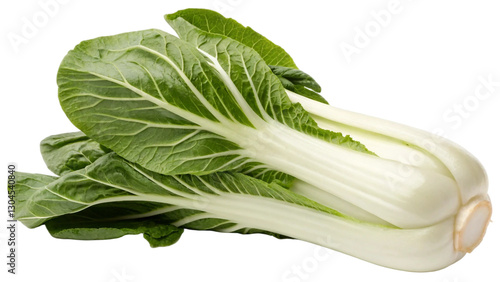 Single fresh Chinese cabbage featuring crisp, vibrant green leaves and firm, smooth white stalks isolated on white background. Suitable for marketing or business purposes. PNG file