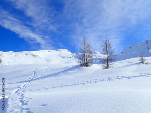Wallpaper Mural skitouring destination rauris valley in winter Torontodigital.ca