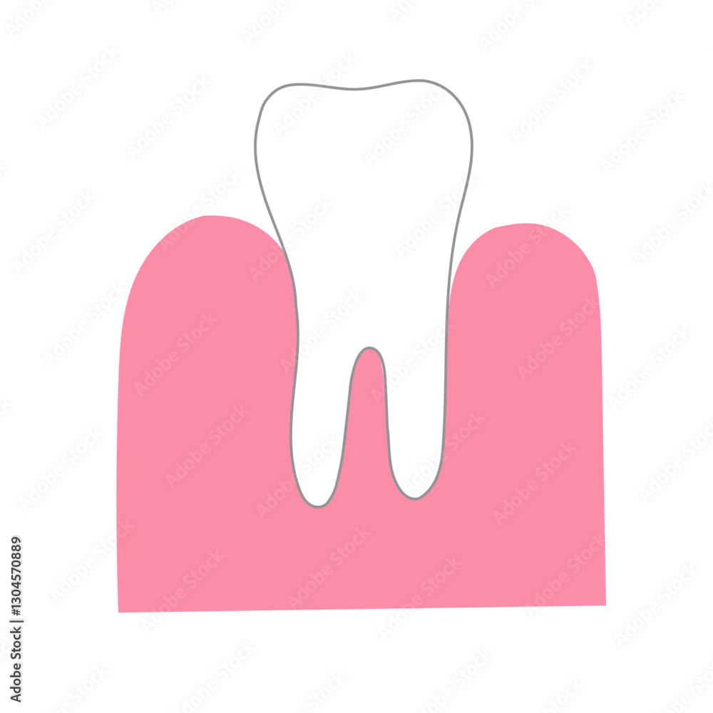 Simple minimal illustration of tooth and gum Simple minimal illustration of tooth and gum