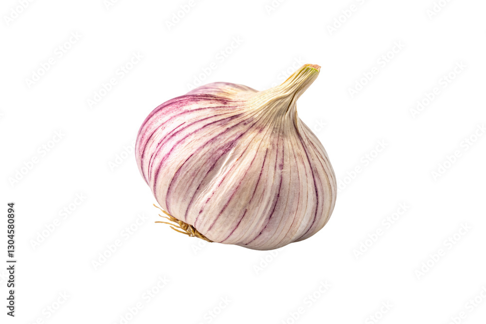Obraz premium A garlic bulb with vibrant purple streaks running along its surface, its bottom revealing tangled, dried roots, adding a rustic touch, isolated on a transparent background