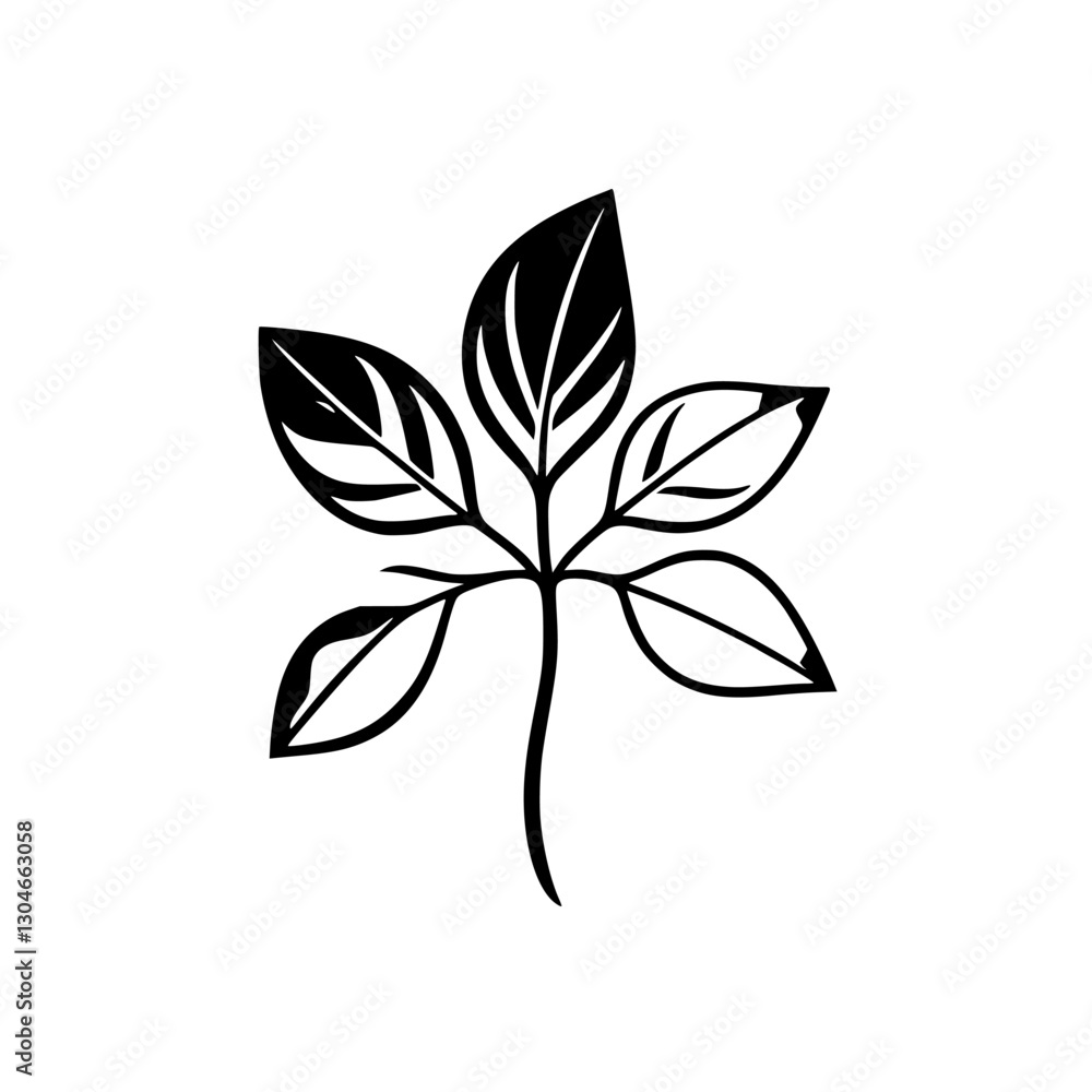 Simplified black and white image of a five-leaf cluster over a white background. Simple artistic drawing style. Simplified black and white image of a five-leaf cluster over a white background. Simple artistic drawing style.