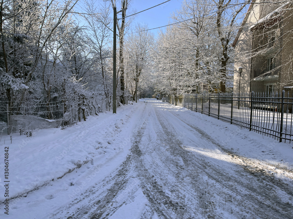 Winter Scene With Snow-Covered Road and Trees in a Quiet Neighborhood During Bright Daylight Winter Scene With Snow-Covered Road and Trees in a Quiet Neighborhood During Bright Daylight
