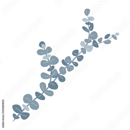 Branch of silver dollar or baby blue pulverulenta eucalyptus. Gum tree twig isolated design element. Vector cartoon illustration