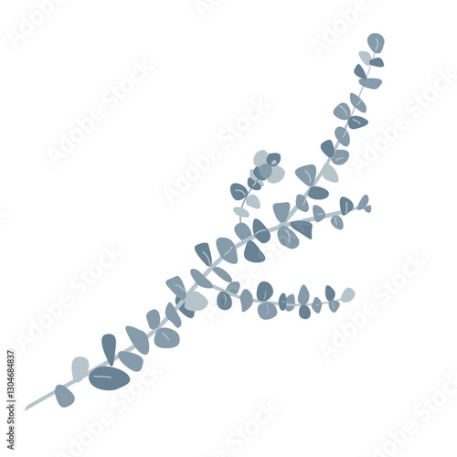 Branch of silver dollar or baby blue pulverulenta eucalyptus. Gum tree twig isolated design element. Vector cartoon illustration