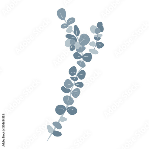 Branch of silver dollar or baby blue pulverulenta eucalyptus. Gum tree twig isolated design element. Vector cartoon illustration