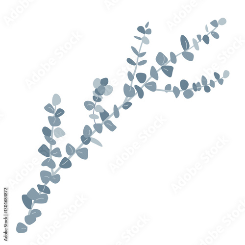 Branch of silver dollar or baby blue pulverulenta eucalyptus. Gum tree twig isolated design element. Vector cartoon illustration