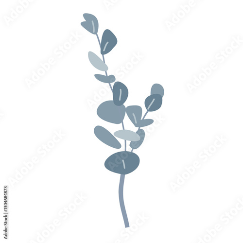 Branch of silver dollar or baby blue pulverulenta eucalyptus. Gum tree twig isolated design element. Vector cartoon illustration