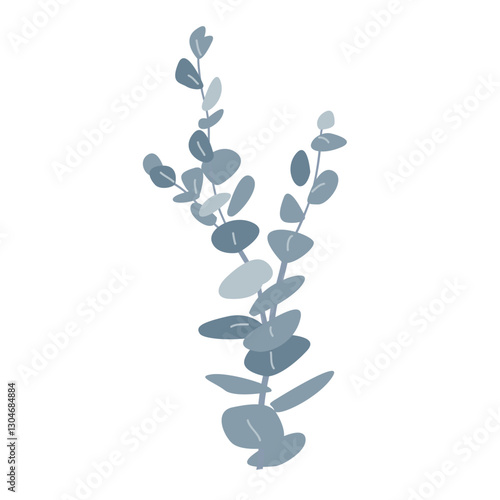 Branch of silver dollar or baby blue pulverulenta eucalyptus. Gum tree twig isolated design element. Vector cartoon illustration
