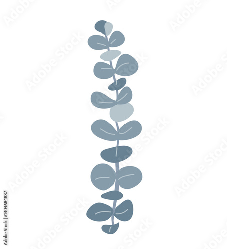 Branch of silver dollar or baby blue pulverulenta eucalyptus. Gum tree twig isolated design element. Vector cartoon illustration