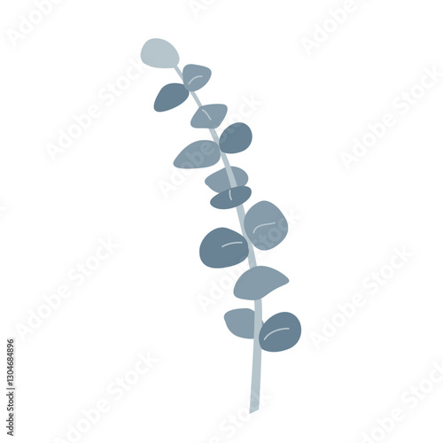 Branch of silver dollar or baby blue pulverulenta eucalyptus. Gum tree twig isolated design element. Vector cartoon illustration