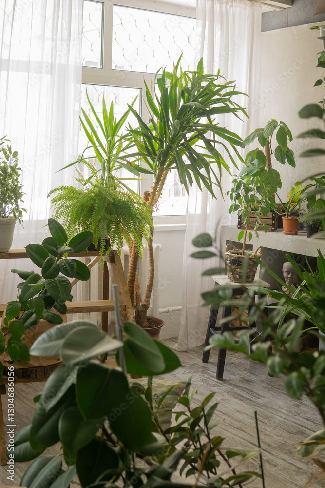 Fototapeta premium A fragment of the interior with a variety of indoor plants and plaster sculptures. Urban jungle concept. Biophilia design.